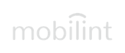 Mobilint